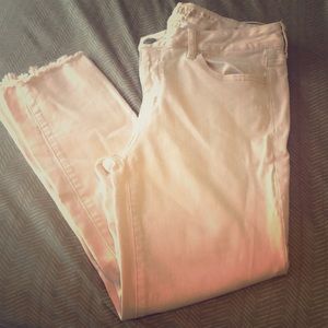 American eagle crops